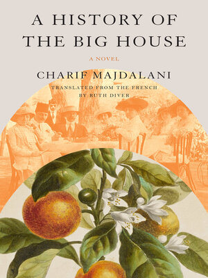 cover image of A History of the Big House